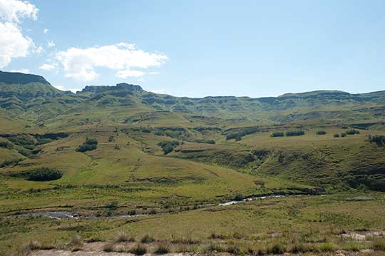 Sanipass